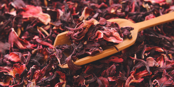 Hibiscus Flowers